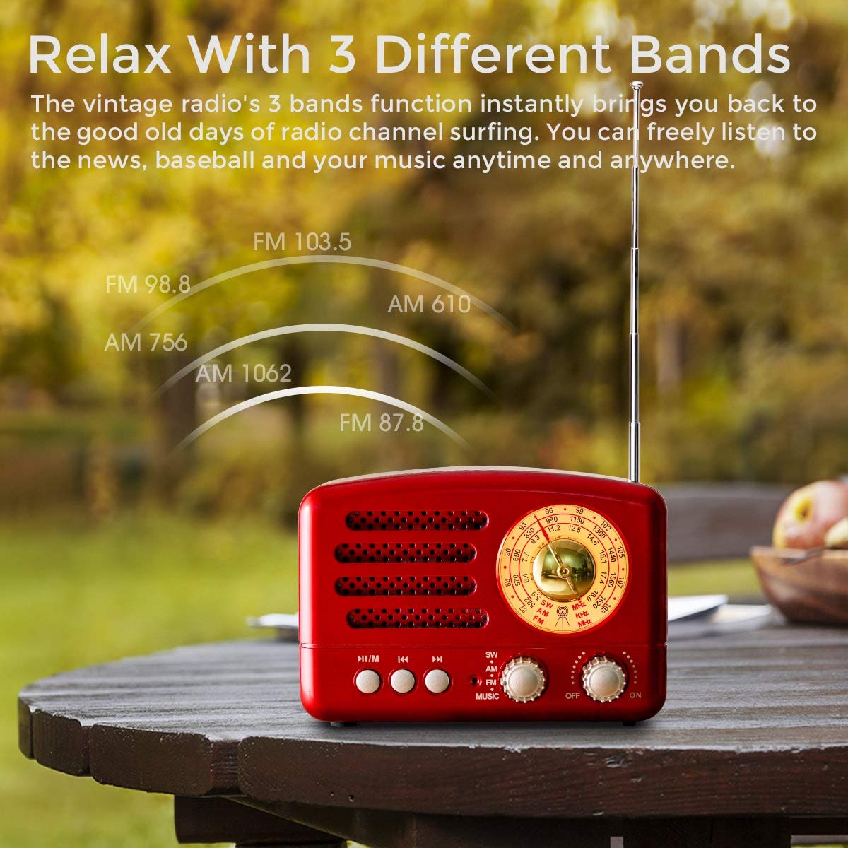 J-160 Vintage Portable Radio