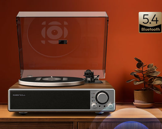 Vinyl record player